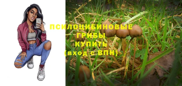 не бодяженный Алзамай